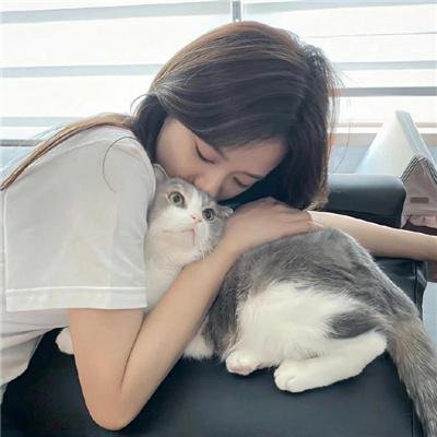 部门报告海报